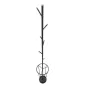 APP/ABITI-P/Parasole GLAM BLACK 26x176 cm